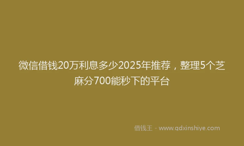 微信借钱20万利息多少2025年推荐，整理5个芝麻分700能秒下的平台