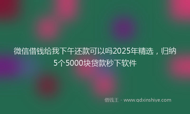 微信借钱给我下午还款可以吗2025年精选，归纳5个5000块贷款秒下软件