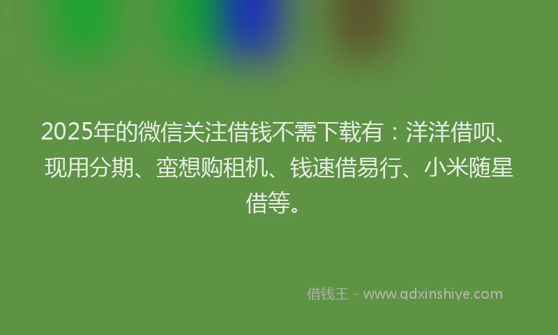 2025年的微信关注借钱不需下载有：洋洋借呗、现用分期、蛮想购租机、钱速借易行、小米随星借等。