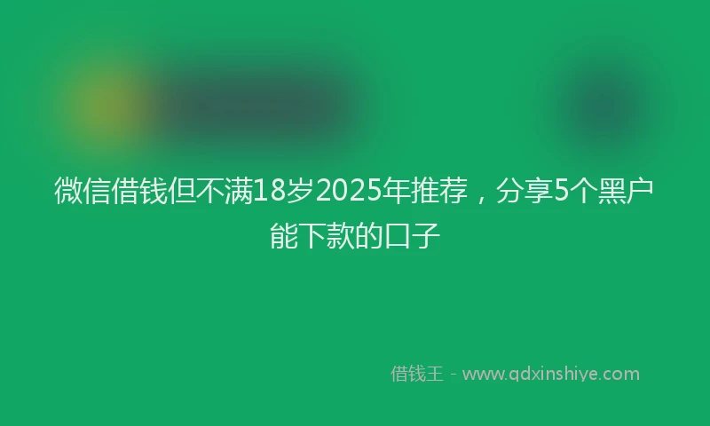 微信借钱但不满18岁2025年推荐，分享5个黑户能下款的口子