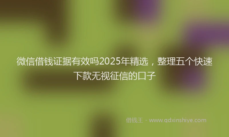 微信借钱证据有效吗2025年精选，整理五个快速下款无视征信的口子