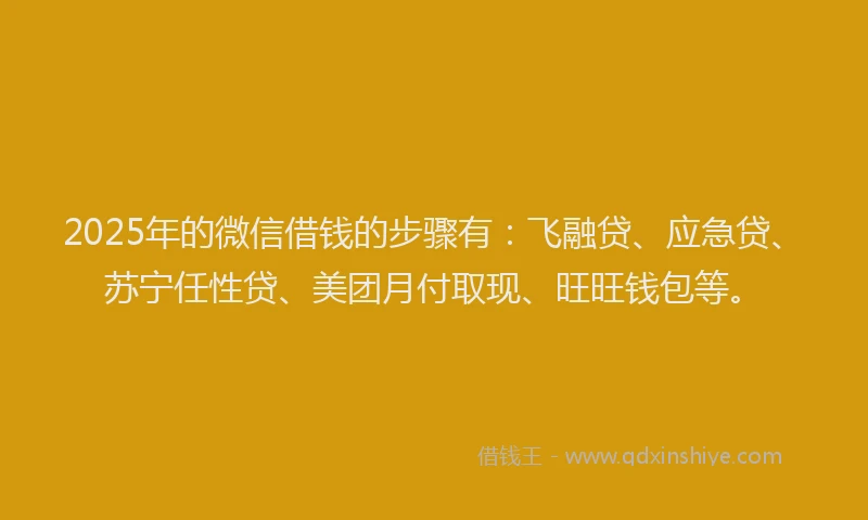 2025年的微信借钱的步骤有：飞融贷、应急贷、苏宁任性贷、美团月付取现、旺旺钱包等。