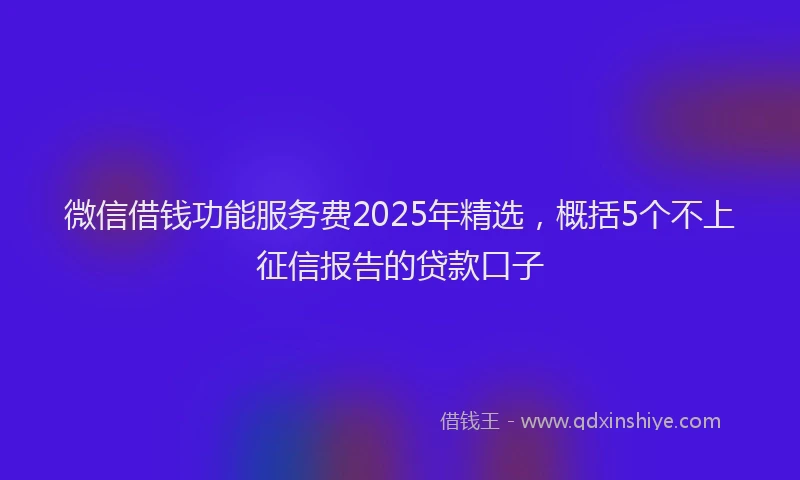 微信借钱功能服务费2025年精选，概括5个不上征信报告的贷款口子