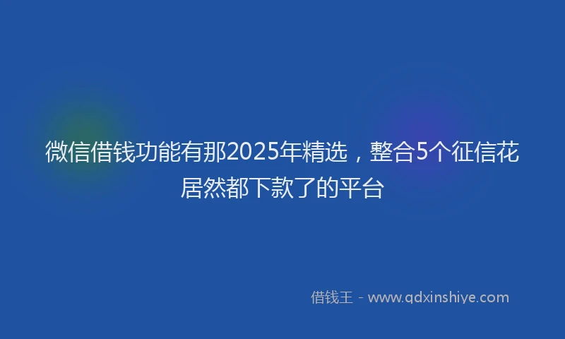微信借钱功能有那2025年精选，整合5个征信花居然都下款了的平台