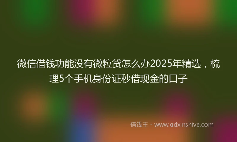 微信借钱功能没有微粒贷怎么办2025年精选，梳理5个手机身份证秒借现金的口子