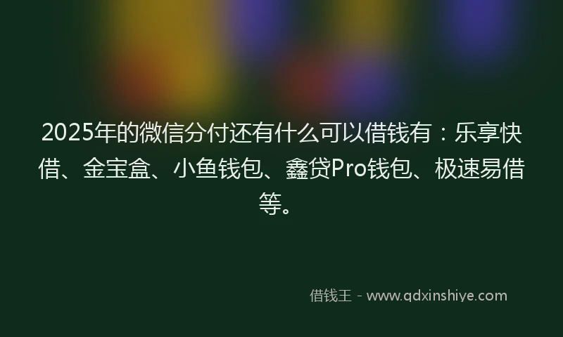 2025年的微信分付还有什么可以借钱有：乐享快借、金宝盒、小鱼钱包、鑫贷Pro钱包、极速易借等。