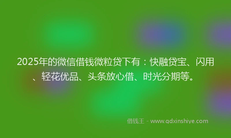 2025年的微信借钱微粒贷下有：快融贷宝、闪用、轻花优品、头条放心借、时光分期等。