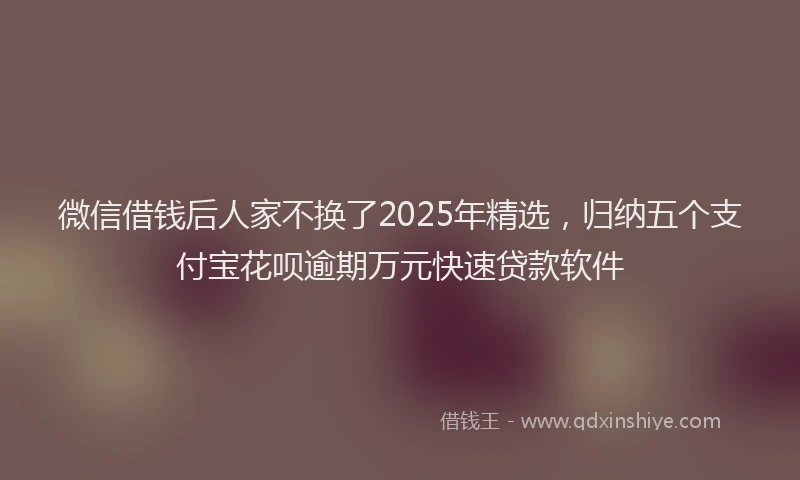 微信借钱后人家不换了2025年精选，归纳五个支付宝花呗逾期万元快速贷款软件