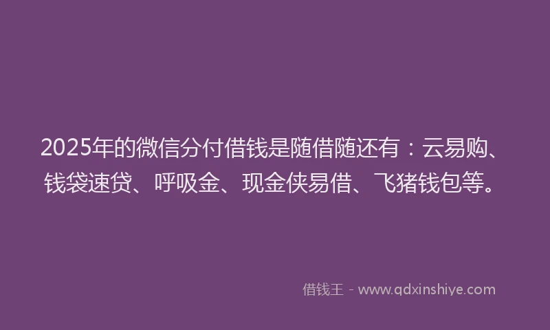 2025年的微信分付借钱是随借随还有：云易购、钱袋速贷、呼吸金、现金侠易借、飞猪钱包等。