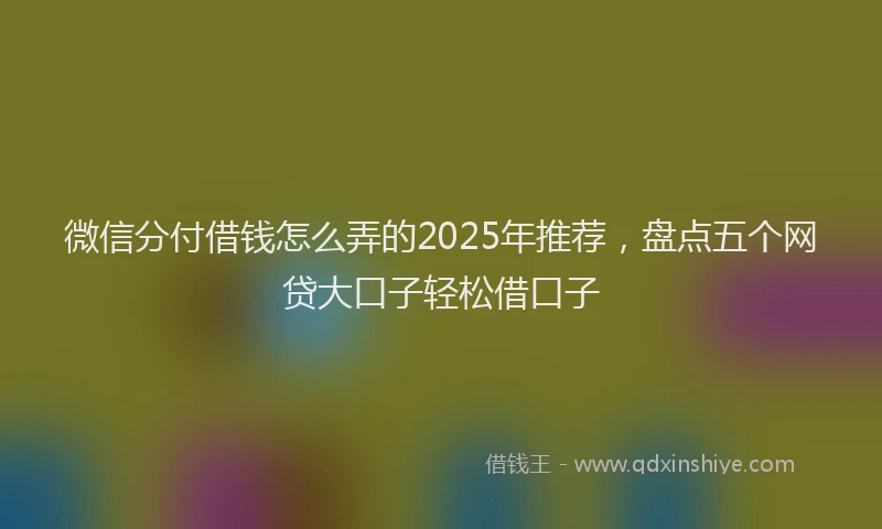微信分付借钱怎么弄的2025年推荐，盘点五个网贷大口子轻松借口子