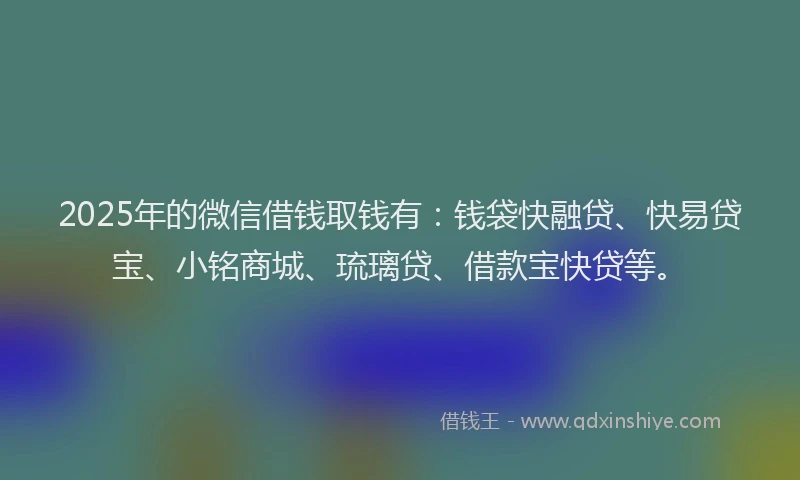 2025年的微信借钱取钱有：钱袋快融贷、快易贷宝、小铭商城、琉璃贷、借款宝快贷等。