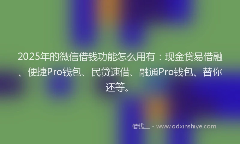 2025年的微信借钱功能怎么用有：现金贷易借融、便捷Pro钱包、民贷速借、融通Pro钱包、替你还等。