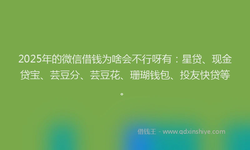 2025年的微信借钱为啥会不行呀有:星贷、现金贷宝、芸豆分、芸豆花、珊瑚钱包、投友快贷等。
