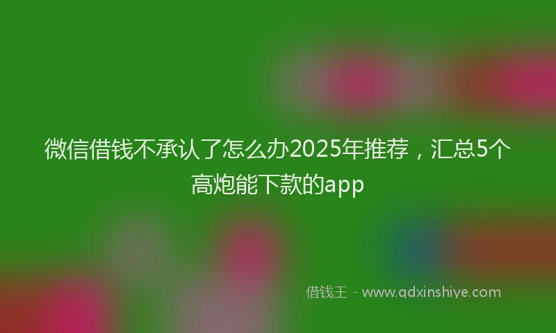 微信借钱不承认了怎么办2025年推荐，汇总5个高炮能下款的app