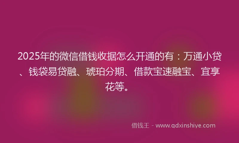 2025年的微信借钱收据怎么开通的有：万通小贷、钱袋易贷融、琥珀分期、借款宝速融宝、宜享花等。