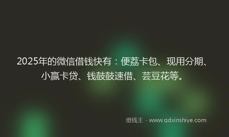 2025年的微信借钱快有：便荔卡包、现用分期、小赢卡贷、钱鼓鼓速借、芸豆花等。