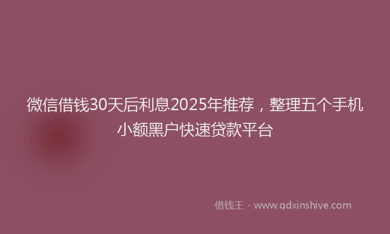 微信借钱30天后利息2025年推荐，整理五个手机小额黑户快速贷款平台