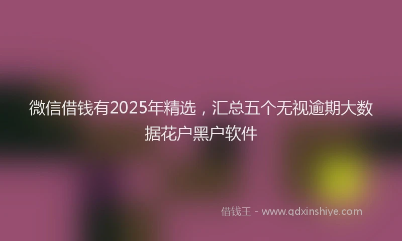 微信借钱有2025年精选，汇总五个无视逾期大数据花户黑户软件