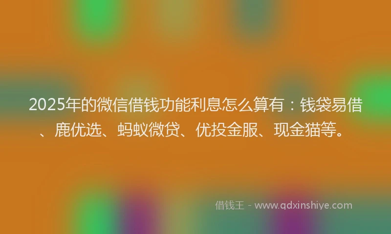 2025年的微信借钱功能利息怎么算有：钱袋易借、鹿优选、蚂蚁微贷、优投金服、现金猫等。