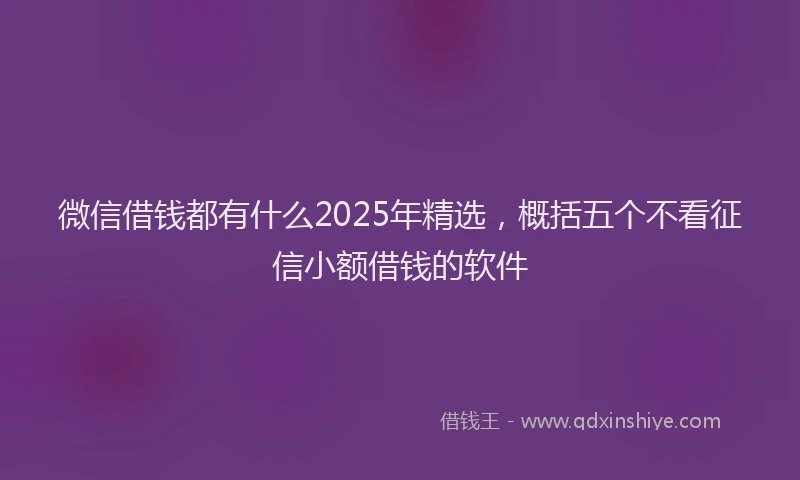 微信借钱都有什么2025年精选，概括五个不看征信小额借钱的软件