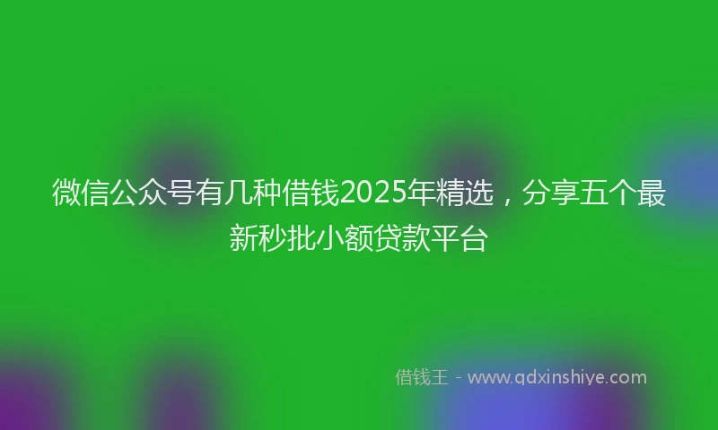 微信公众号有几种借钱2025年精选，分享五个最新秒批小额贷款平台