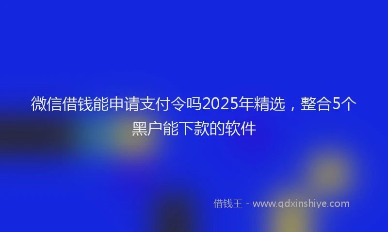 微信借钱能申请支付令吗2025年精选，整合5个黑户能下款的软件