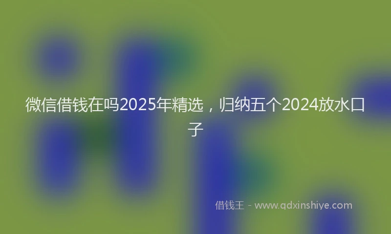 微信借钱在吗2025年精选，归纳五个2024放水口子