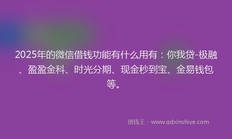 2025年的微信借钱功能有什么用有：你我贷-极融、盈盈金科、时光分期、现金秒到宝、金易钱包等。