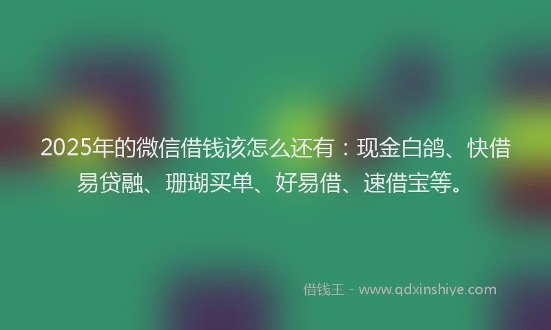 2025年的微信借钱该怎么还有：现金白鸽、快借易贷融、珊瑚买单、好易借、速借宝等。