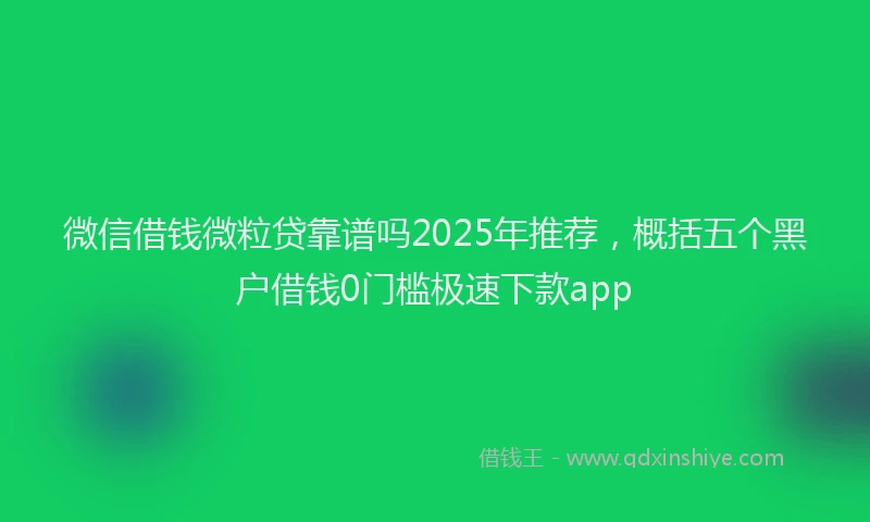 微信借钱微粒贷靠谱吗2025年推荐，概括五个黑户借钱0门槛极速下款app