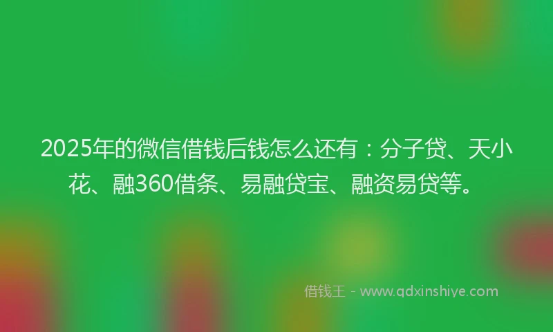2025年的微信借钱后钱怎么还有：分子贷、天小花、融360借条、易融贷宝、融资易贷等。