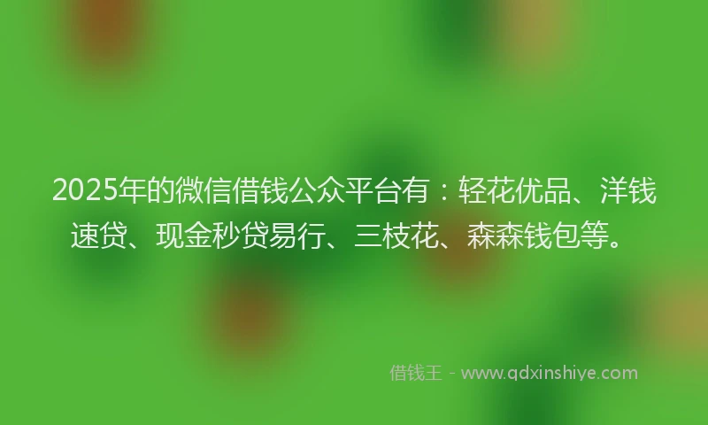 2025年的微信借钱公众平台有：轻花优品、洋钱速贷、现金秒贷易行、三枝花、森森钱包等。