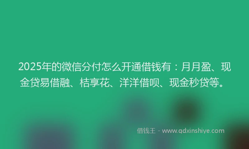 2025年的微信分付怎么开通借钱有：月月盈、现金贷易借融、桔享花、洋洋借呗、现金秒贷等。