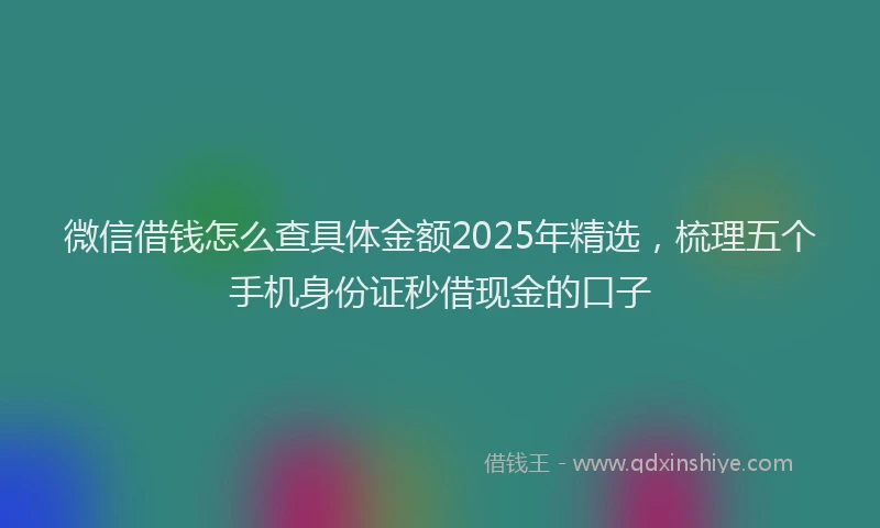 微信借钱怎么查具体金额2025年精选，梳理五个手机身份证秒借现金的口子