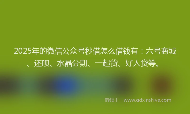 2025年的微信公众号秒借怎么借钱有：六号商城、还呗、水晶分期、一起贷、好人贷等。