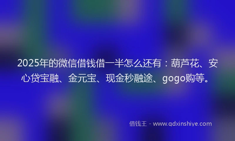 2025年的微信借钱借一半怎么还有：葫芦花、安心贷宝融、金元宝、现金秒融途、gogo购等。