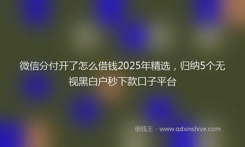 微信分付开了怎么借钱2025年精选，归纳5个无视黑白户秒下款口子平台
