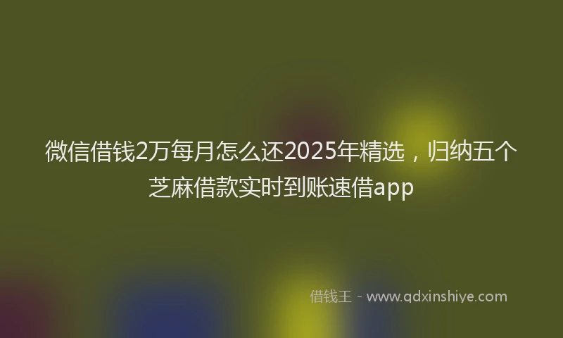 微信借钱2万每月怎么还2025年精选，归纳五个芝麻借款实时到账速借app
