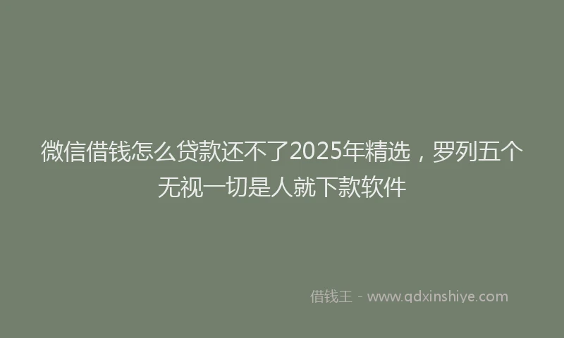 微信借钱怎么贷款还不了2025年精选，罗列五个无视一切是人就下款软件