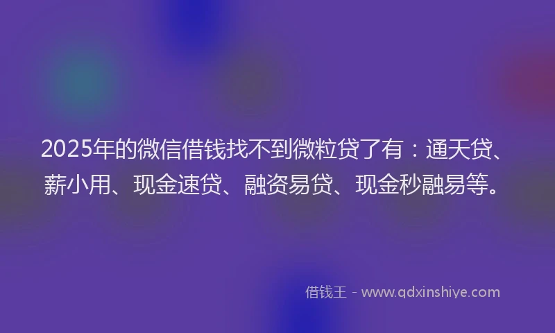 2025年的微信借钱找不到微粒贷了有：通天贷、薪小用、现金速贷、融资易贷、现金秒融易等。