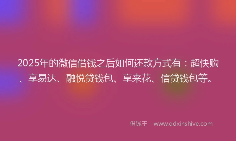 2025年的微信借钱之后如何还款方式有：超快购、享易达、融悦贷钱包、享来花、信贷钱包等。