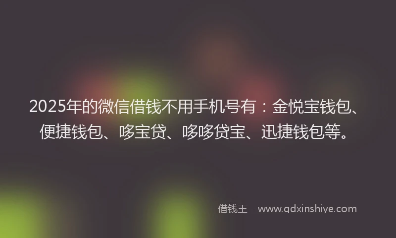 2025年的微信借钱不用手机号有：金悦宝钱包、便捷钱包、哆宝贷、哆哆贷宝、迅捷钱包等。