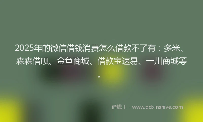 2025年的微信借钱消费怎么借款不了有：多米、森森借呗、金鱼商城、借款宝速易、一川商城等。