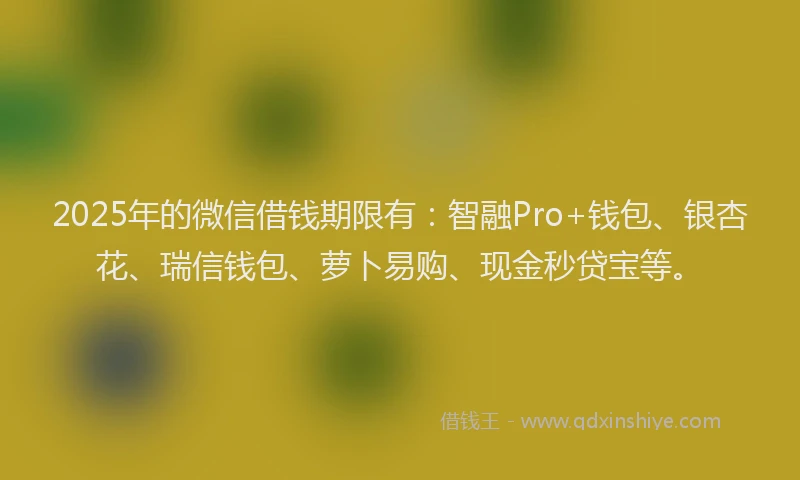 2025年的微信借钱期限有：智融Pro+钱包、银杏花、瑞信钱包、萝卜易购、现金秒贷宝等。