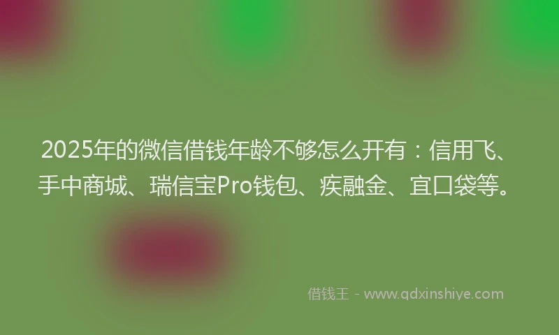 2025年的微信借钱年龄不够怎么开有：信用飞、手中商城、瑞信宝Pro钱包、疾融金、宜口袋等。