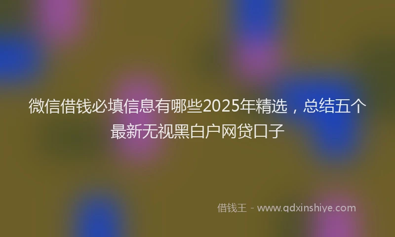 微信借钱必填信息有哪些2025年精选，总结五个最新无视黑白户网贷口子