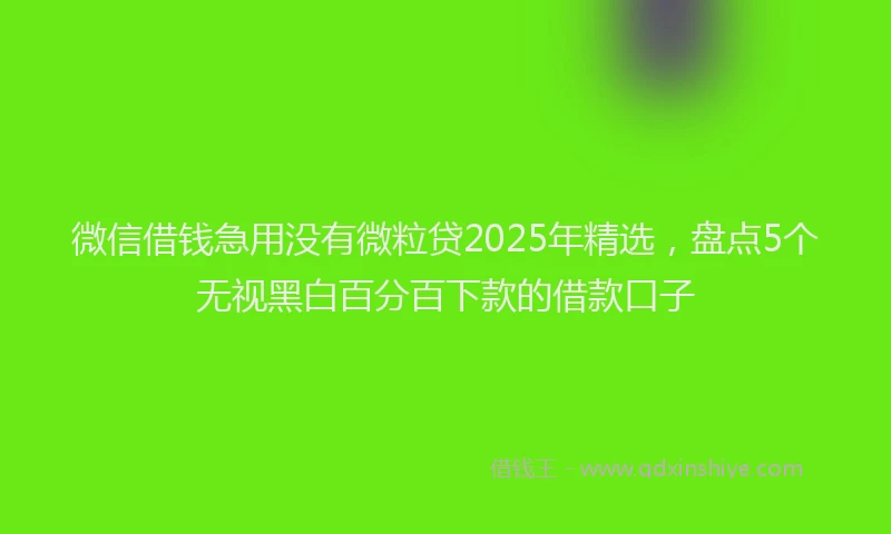 微信借钱急用没有微粒贷2025年精选，盘点5个无视黑白百分百下款的借款口子
