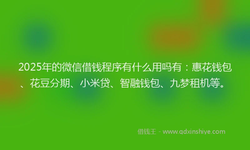 2025年的微信借钱程序有什么用吗有：惠花钱包、花豆分期、小米贷、智融钱包、九梦租机等。