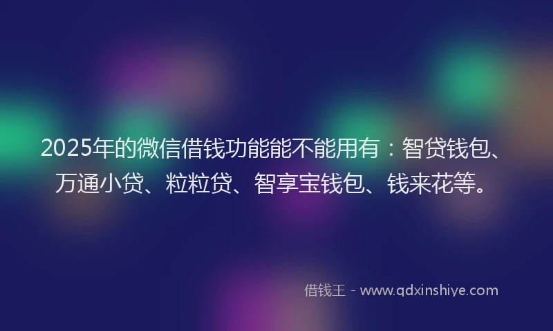 2025年的微信借钱功能能不能用有：智贷钱包、万通小贷、粒粒贷、智享宝钱包、钱来花等。