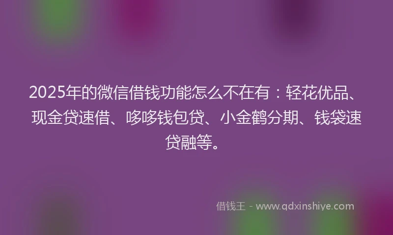 2025年的微信借钱功能怎么不在有：轻花优品、现金贷速借、哆哆钱包贷、小金鹤分期、钱袋速贷融等。